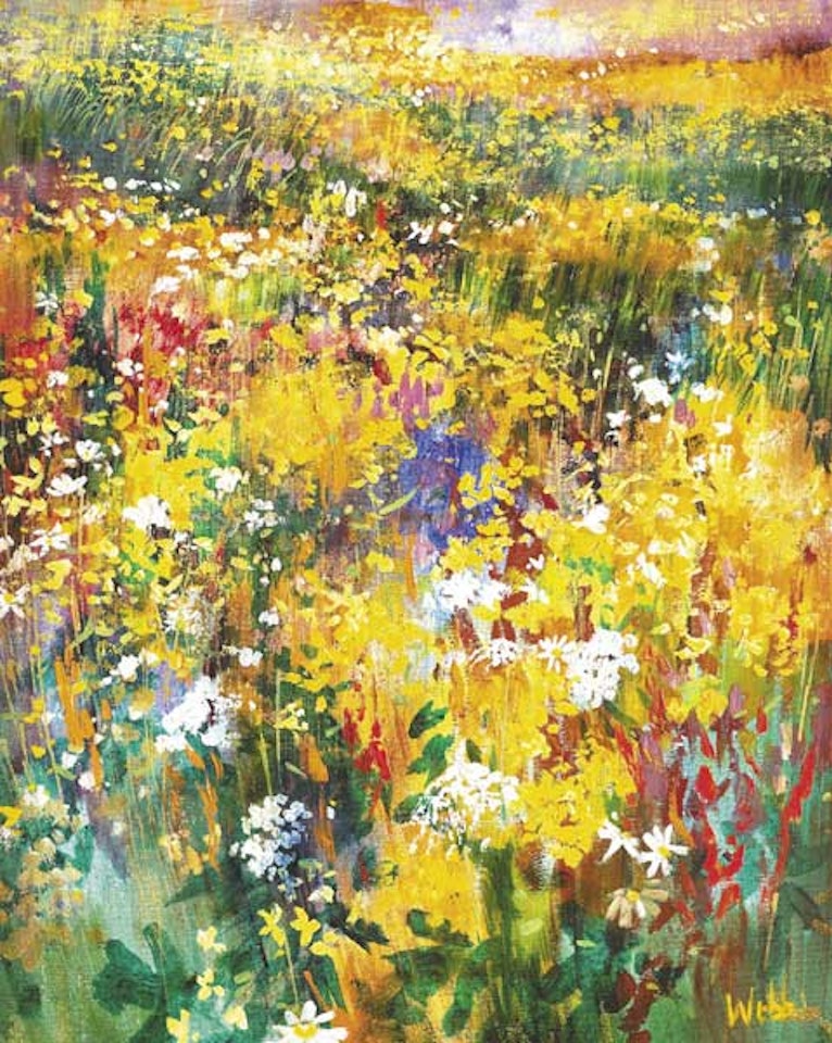 CONNEMARA GARDEN by Kenneth Webb