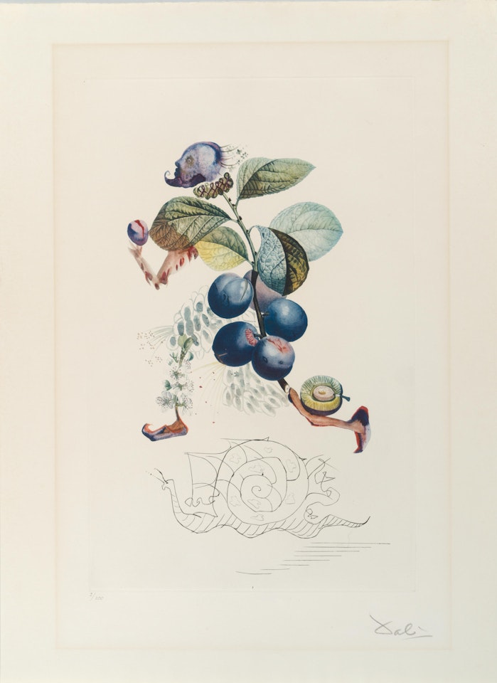 Le prunier hâtif, from FlorDali/Les Fruits (Field 69-11-C) by Salvador Dali