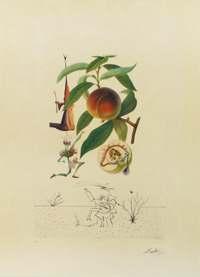 Pêcher pénitant, from FlorDali/Les Fruits (Field 69-11-E) by Salvador Dali