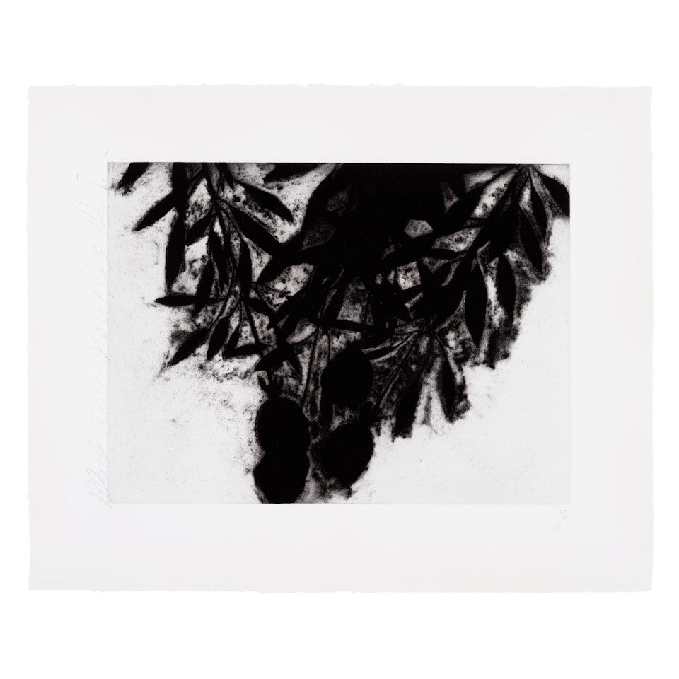 Black Roses by Donald Sultan