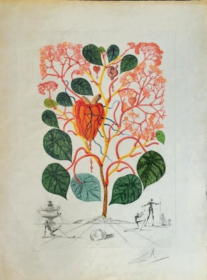 Begonia; Passionflower, from the FlorDali Series by Salvador Dali