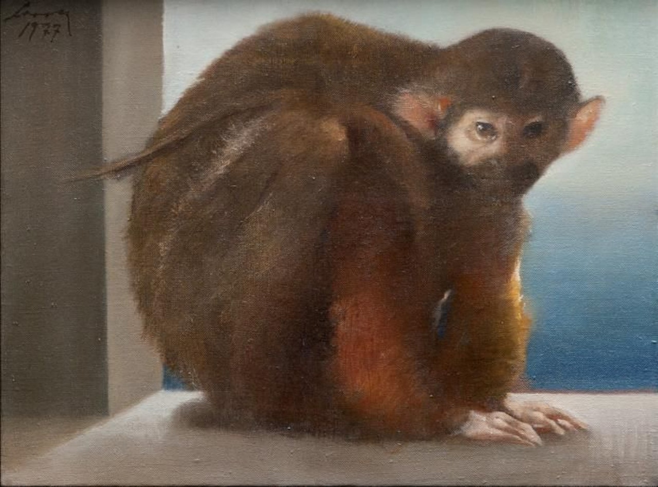 Ojeda monkey by Julio Larraz