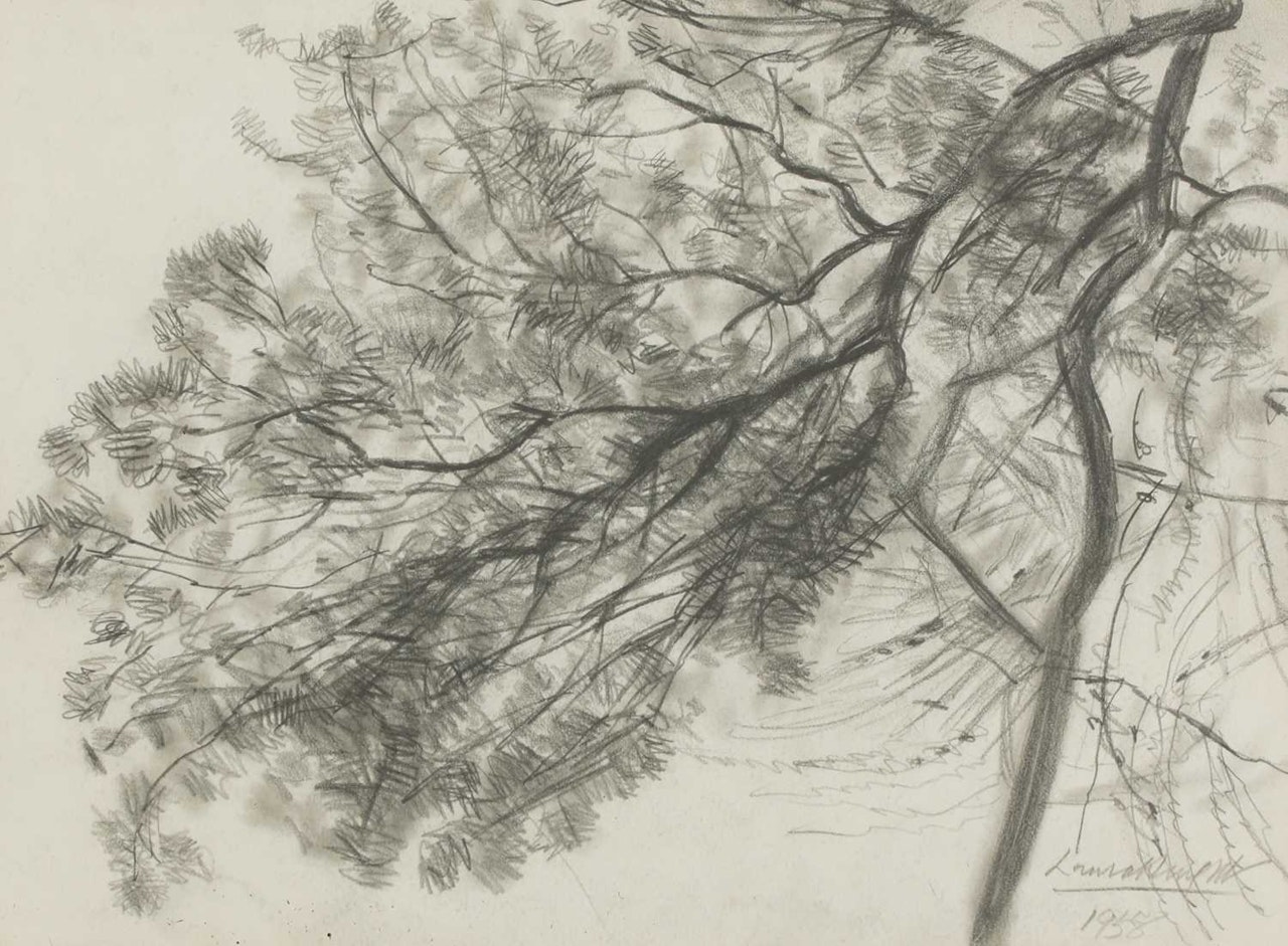 Study of a tree by Laura Knight