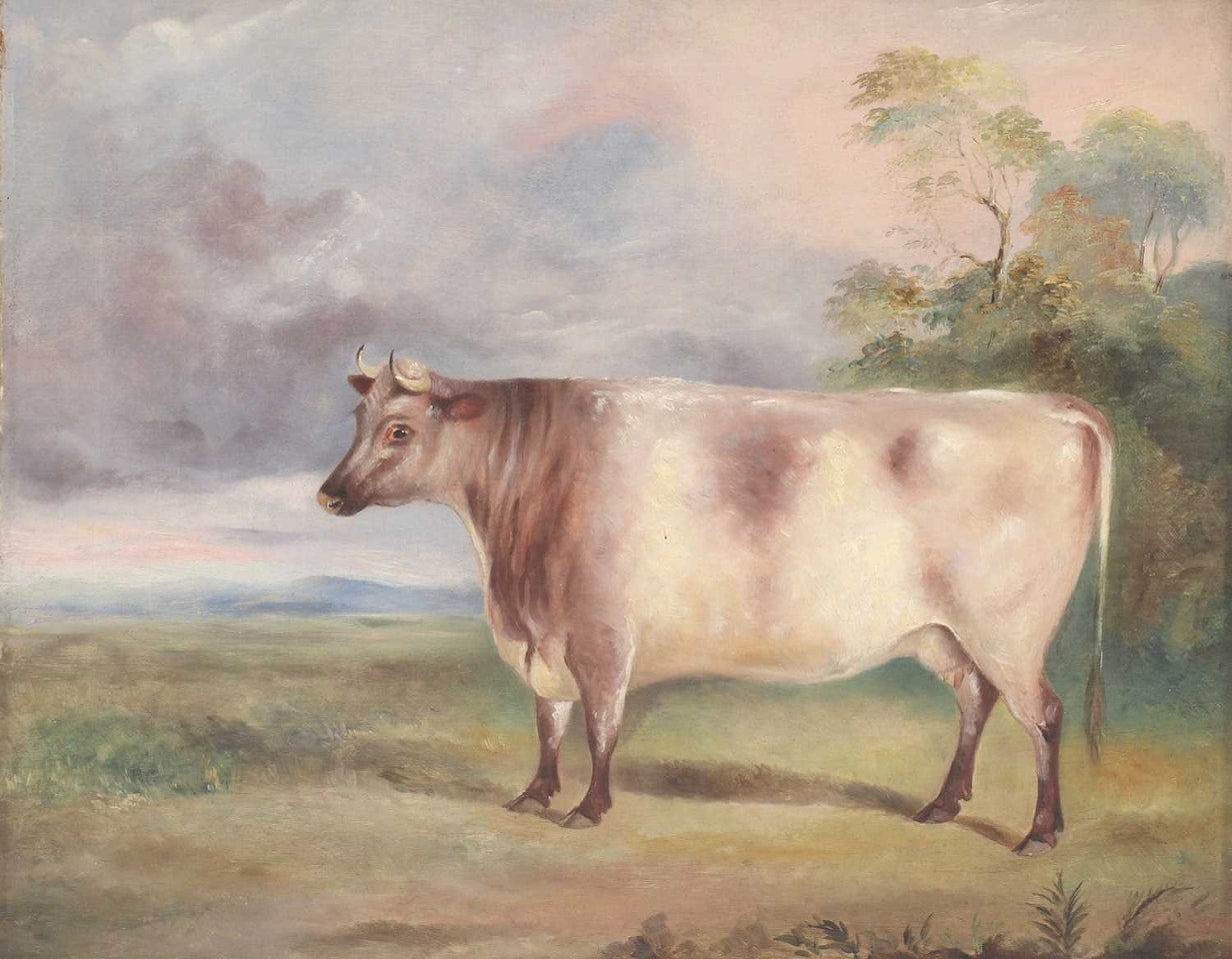 A prize cow in a landscape by English School