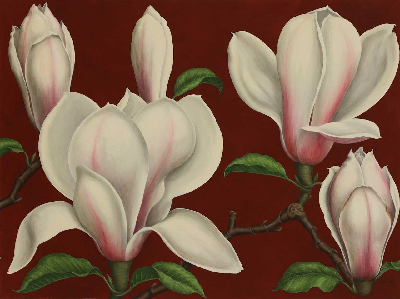 "Magnolia"; "Tulips" by English School