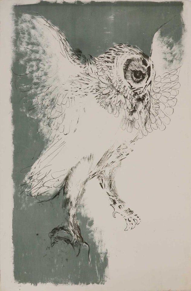 "Owl" by Elisabeth Frink