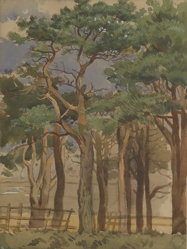 "Scots Pines" by Archibald Thorburn