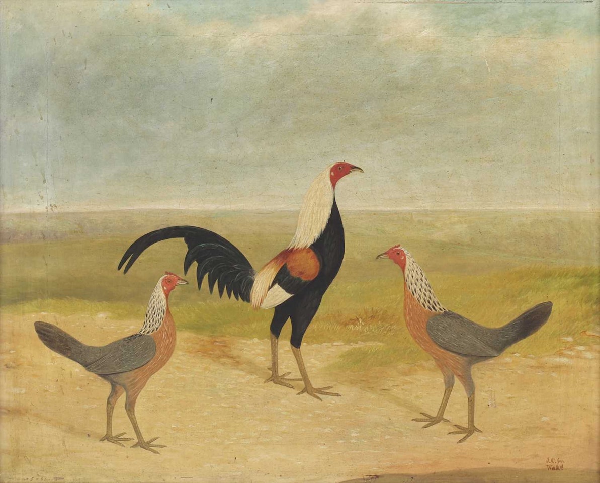 A cockerel and two hens by English School