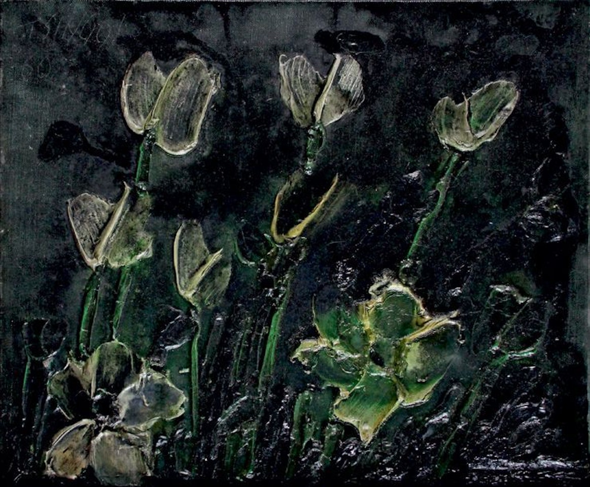 POPPIES by Thanos Tsingos