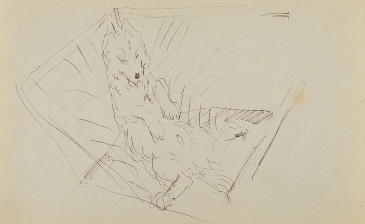 Dingo by Pierre Bonnard
