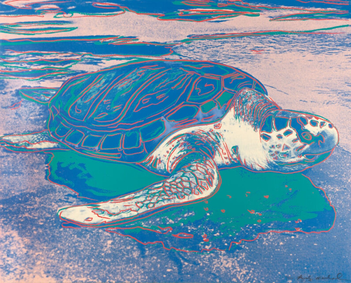 Turtle. by Andy Warhol