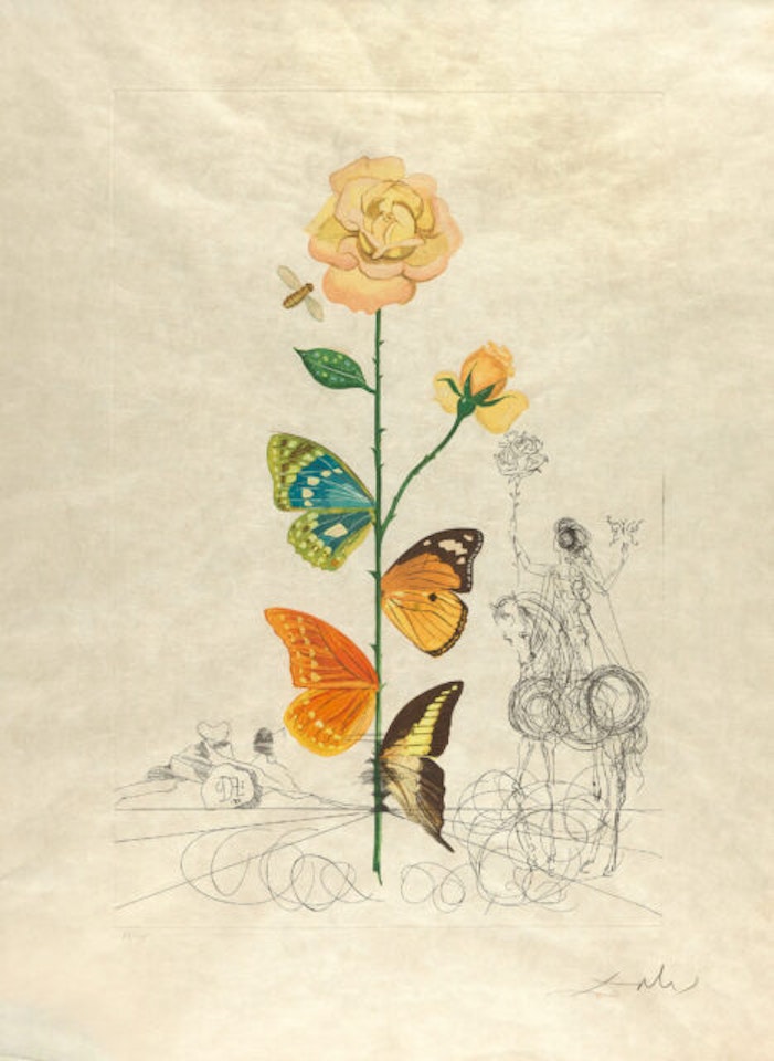 Figueras; Rose from x Flordali (Flora Dalinae). by Salvador Dali