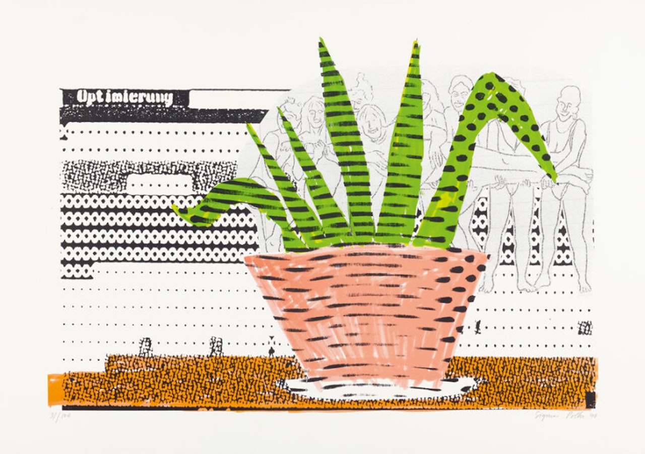 optimization by Sigmar Polke