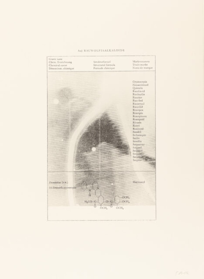 TV picture ice hockey (Rauwolfia alkaloids) by Sigmar Polke