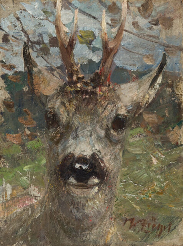 Roebuck head. by Heinrich von Zugel