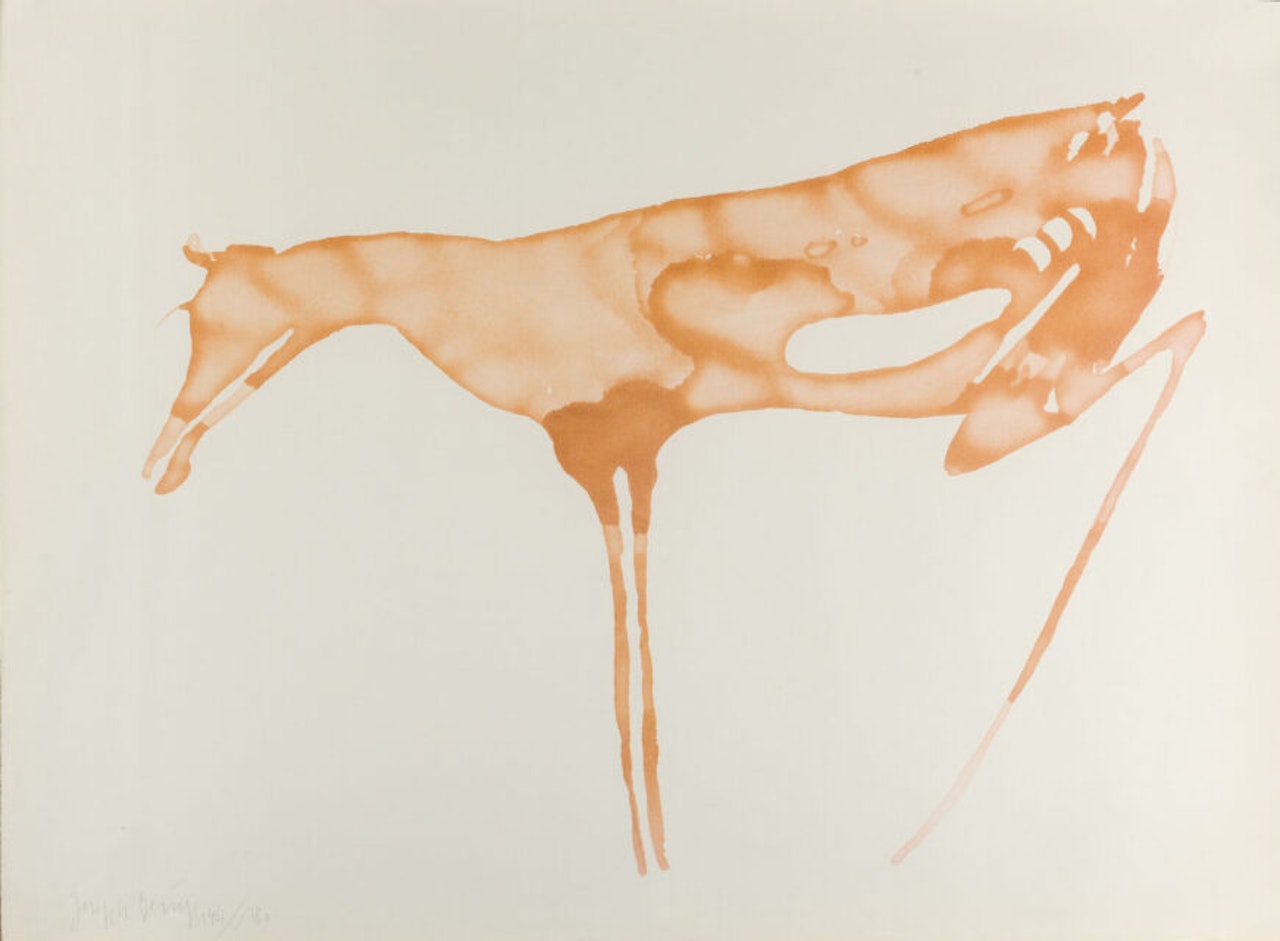 Hind. by Joseph Beuys