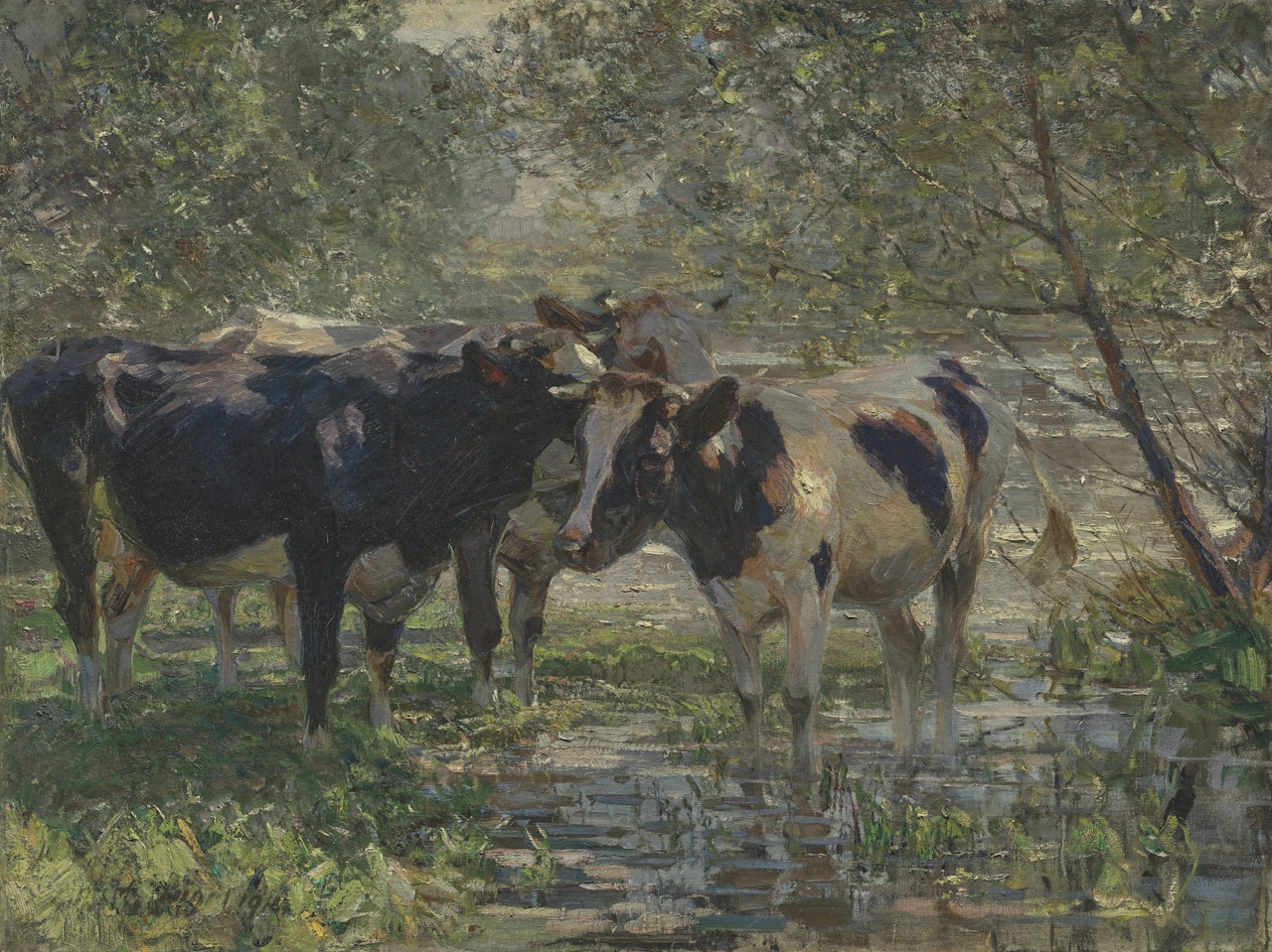 Drei Kühe am Bach (Three cows by a river) by Heinrich von Zugel