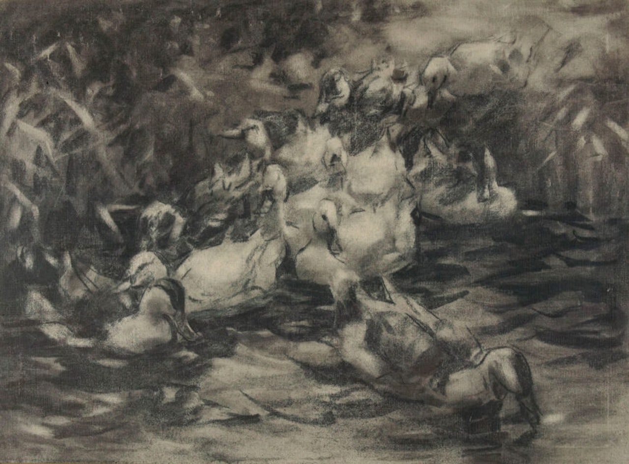 Ducks going into the water. by Alexander Koester