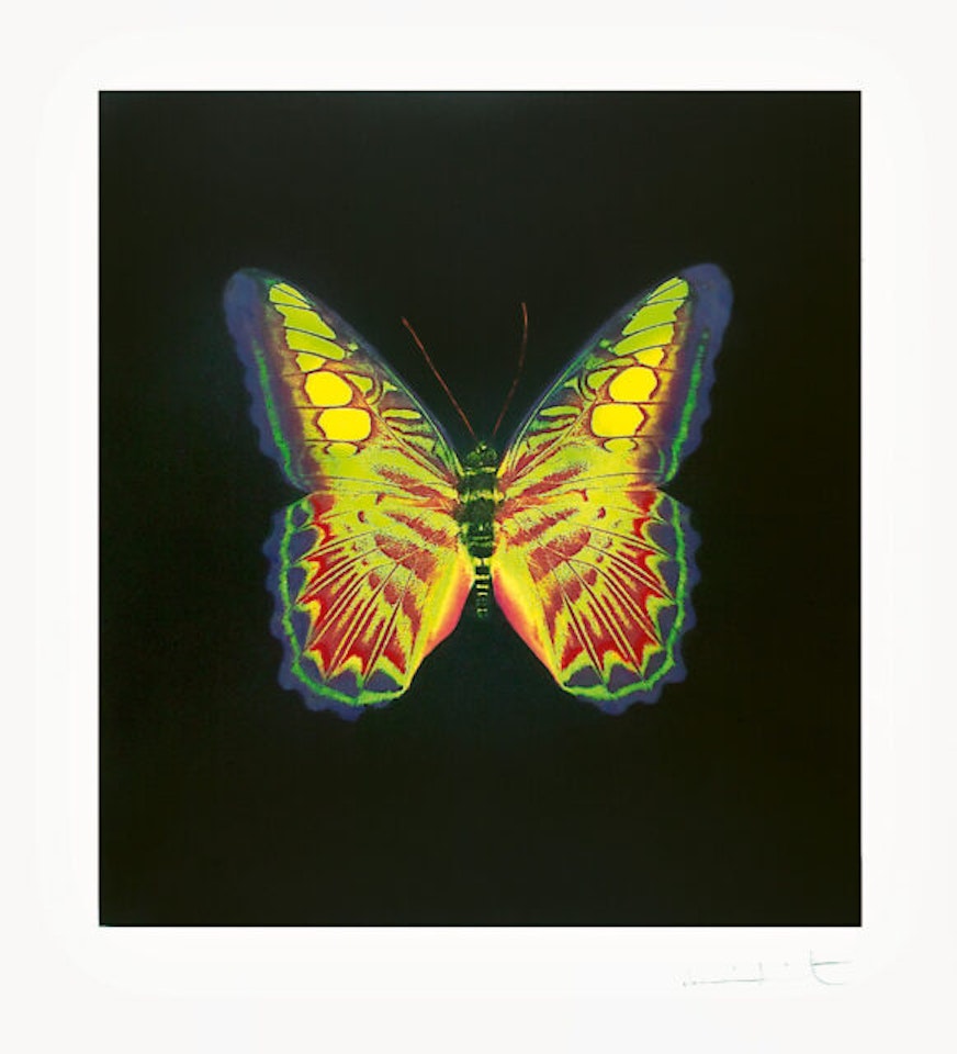 The Souls on Jacob"s Ladder take their Flight (Large Red/Green). by Damien Hirst