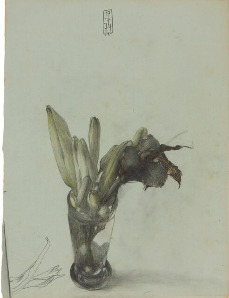Flower still life. by Horst Janssen
