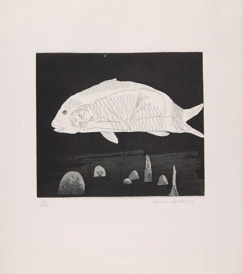 The Boy Hidden in a Fish by David Hockney