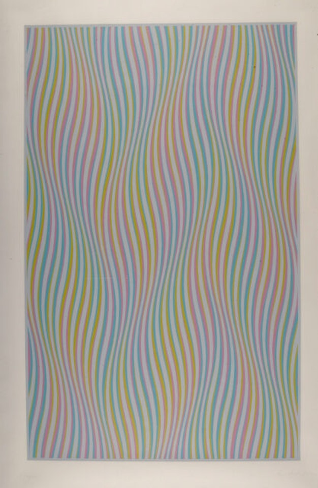 Elapse by Bridget Riley