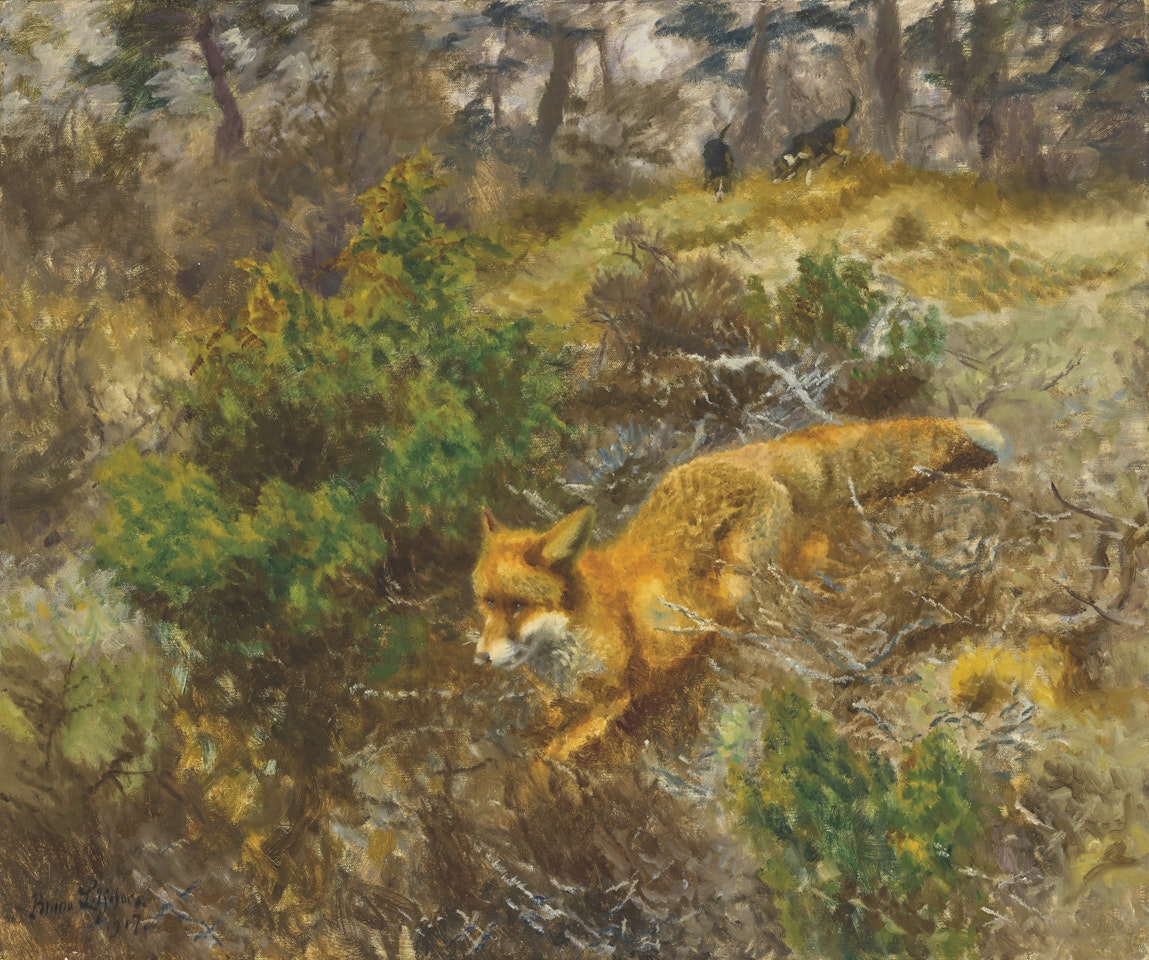 Fox and Hounds by Bruno Liljefors