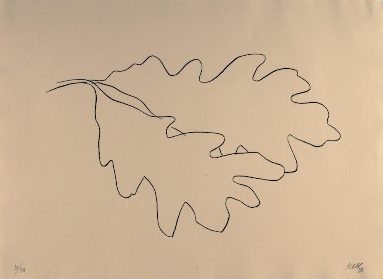 Two Oak Leaves. by Ellsworth Kelly