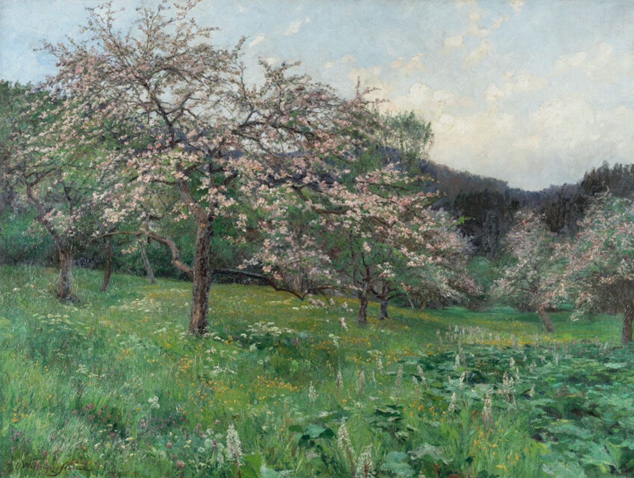 Blossoming Apple Trees in Evening Light by Olga Wisinger-Florian