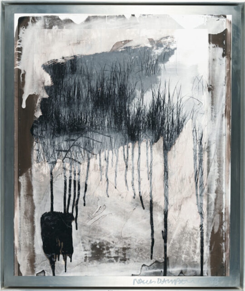 Untitled (from the Bleacher Series) by Robert Rauschenberg
