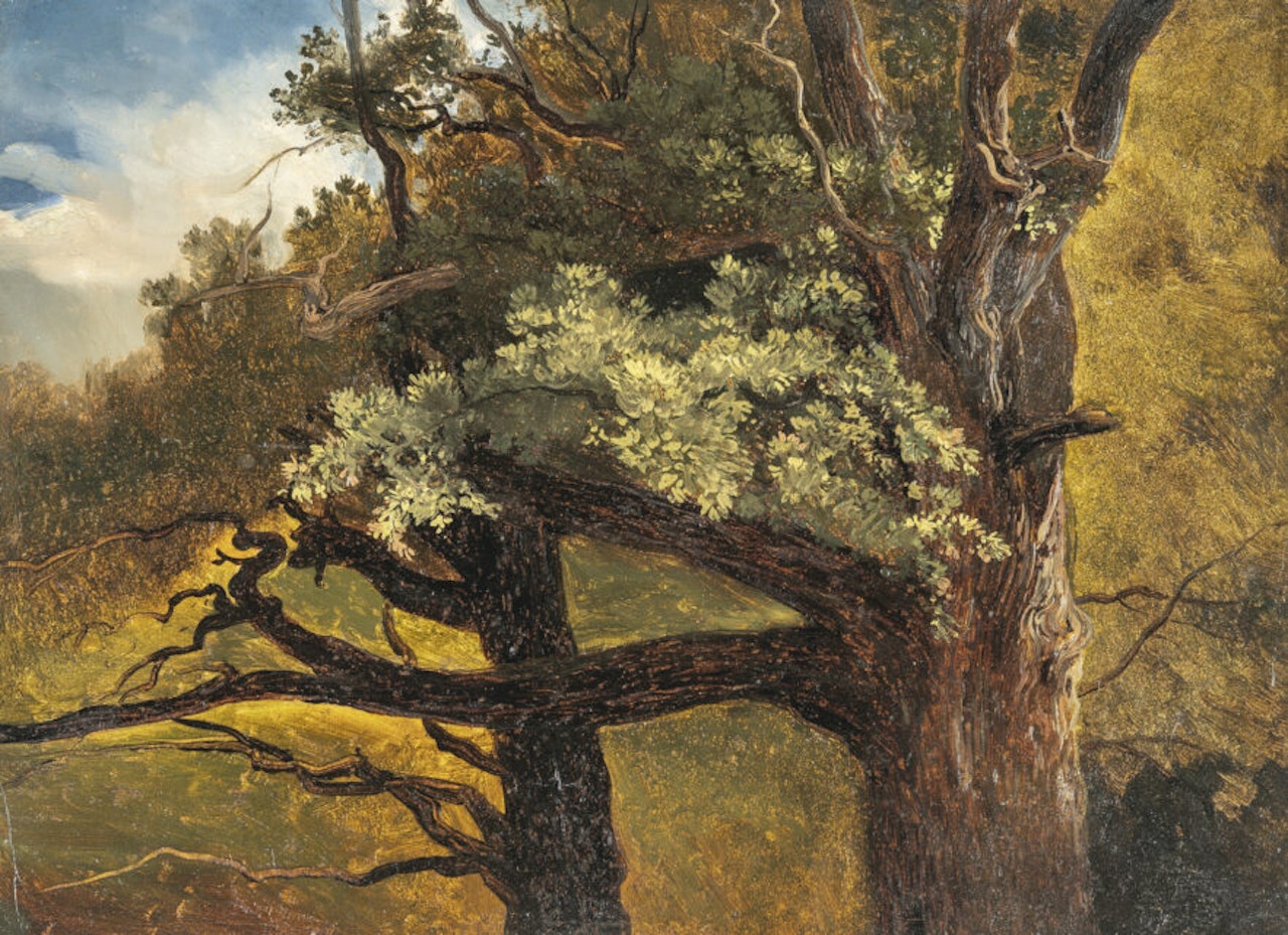 Old trees at the forest"s edge by Christian Friedrich Gille