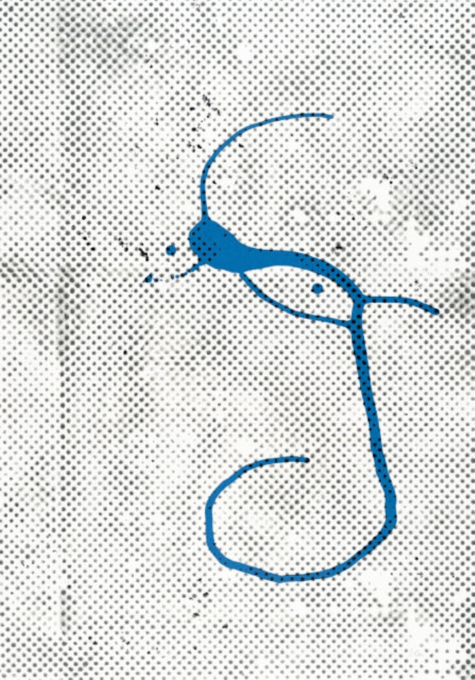 Untitled by Sigmar Polke