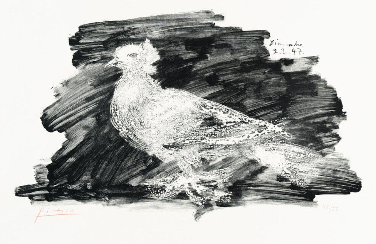 Pigeon au fonds gris by Pablo Picasso