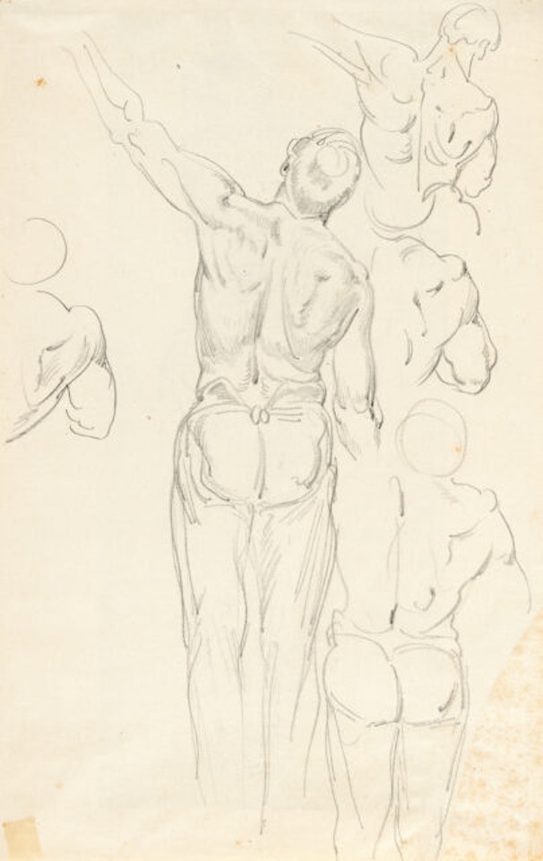 2 sheets: Anatomical studies by Wilhelm Busch