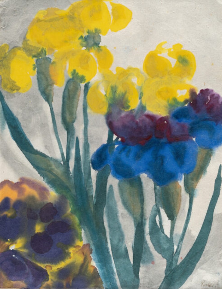 Blue and yellow irises by Emil Nolde