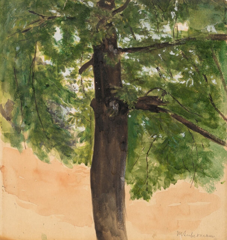 Tree study by Max Liebermann