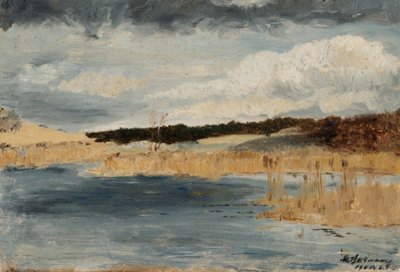 Landscape with sea by Max Beckmann