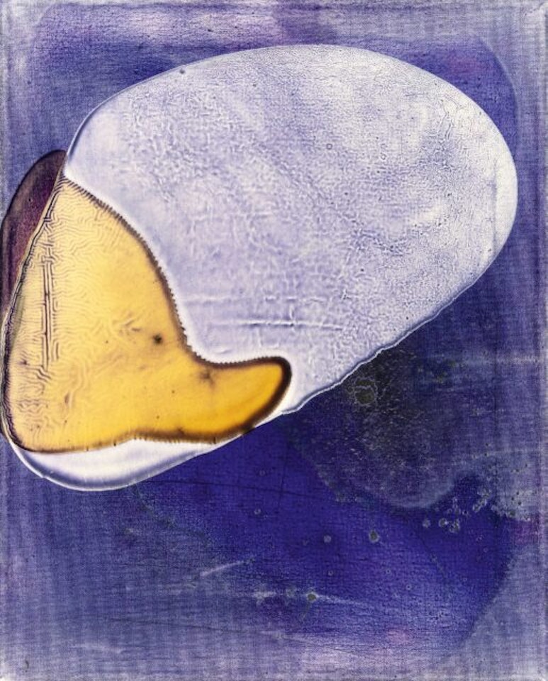 Color proof by Sigmar Polke
