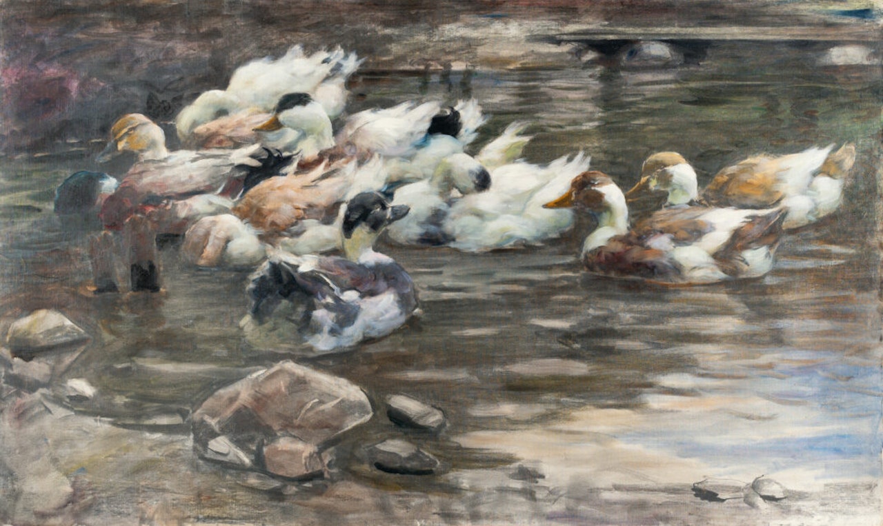 Ducks by a pond with stones by Alexander Koester