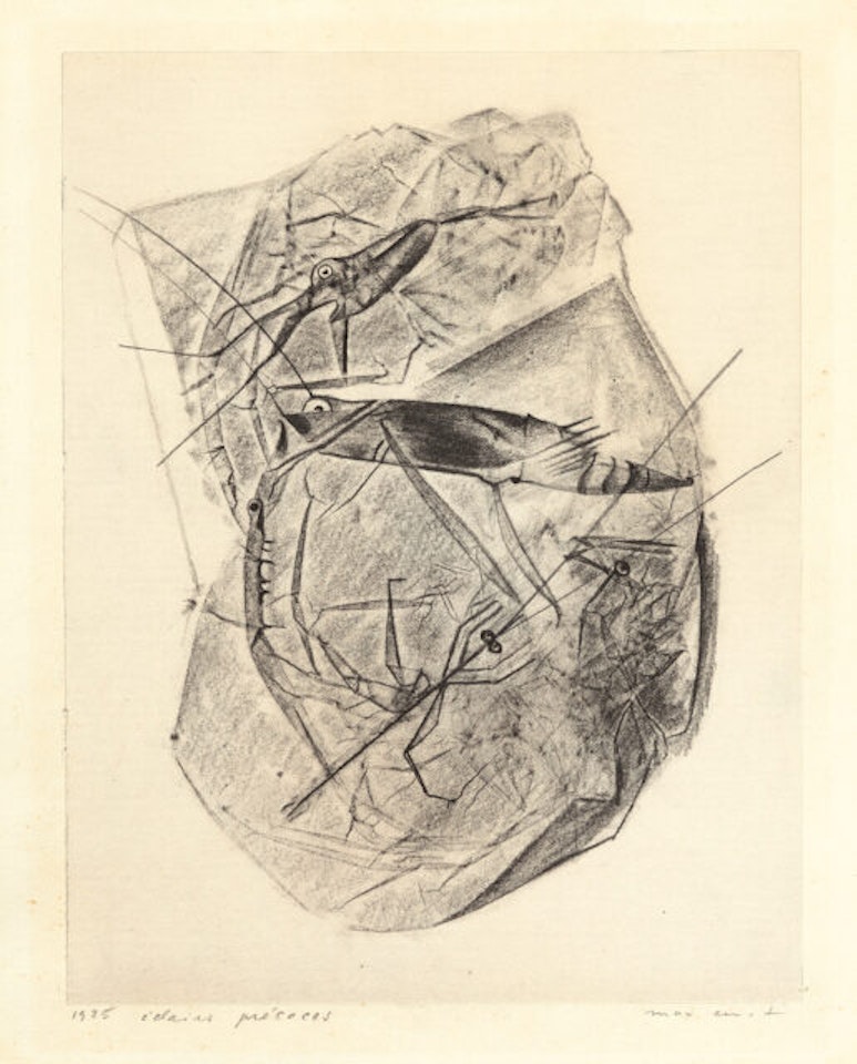 “éclaires precoces” by Max Ernst