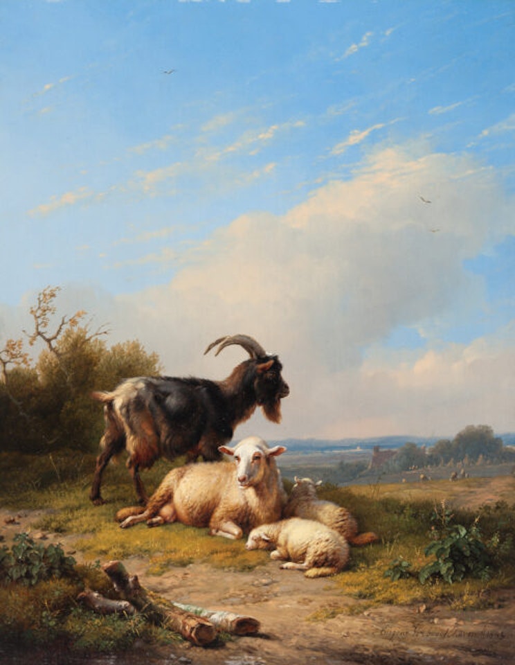 Goat with Sheeps in the Meadow by Eugène Joseph Verboeckhoven