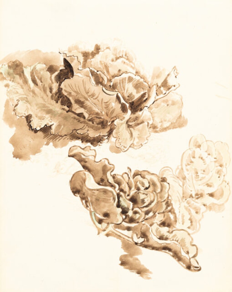 4 sheets: Study of three cabbages - Various figure studies by Wilhelm Busch