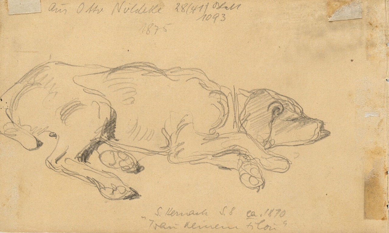 Three sleeping cats. Reverse: a sleeping dog by Wilhelm Busch