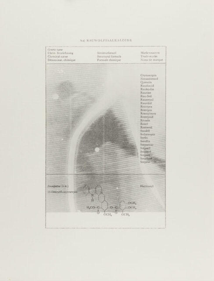 TV picture ice hockey (space wolf alkaloids) by Sigmar Polke