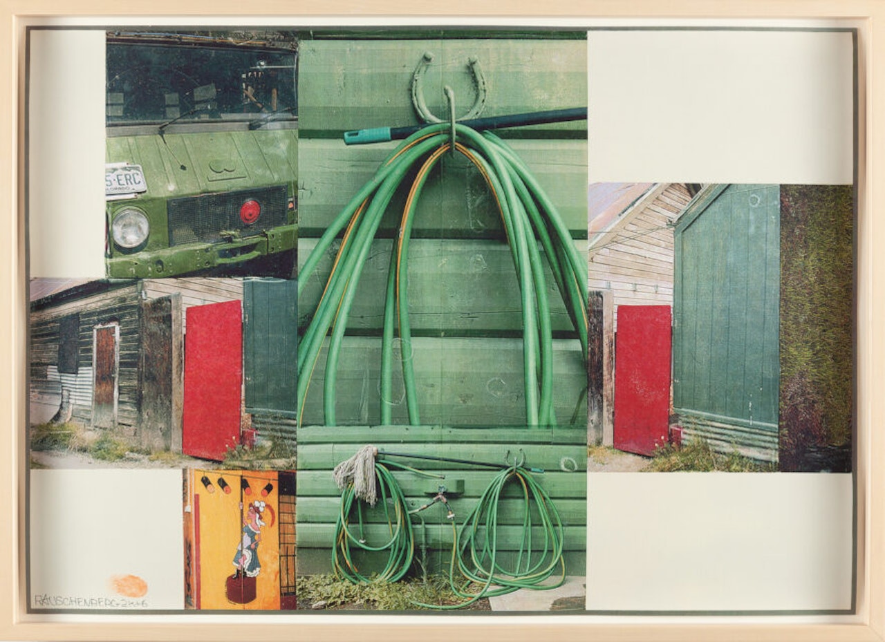 Algae by Robert Rauschenberg