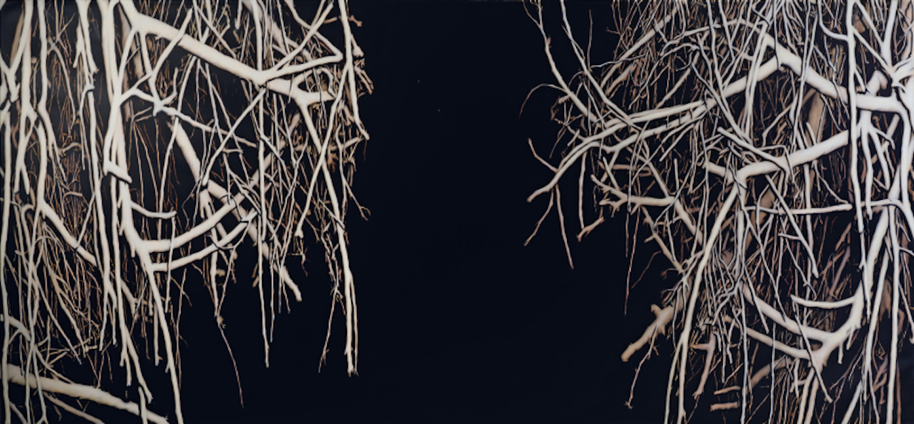 Curtain by Andrew Browne