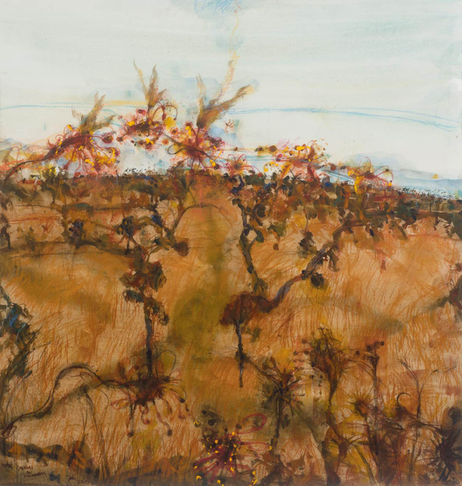 Rydal - Grevilleas and Honeyeaters by John Olsen