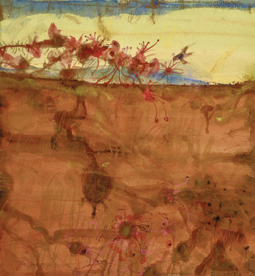 Echidna Passing Flowers by John Olsen