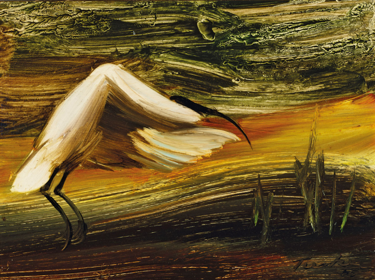 Ibis Flying by Albert Tucker