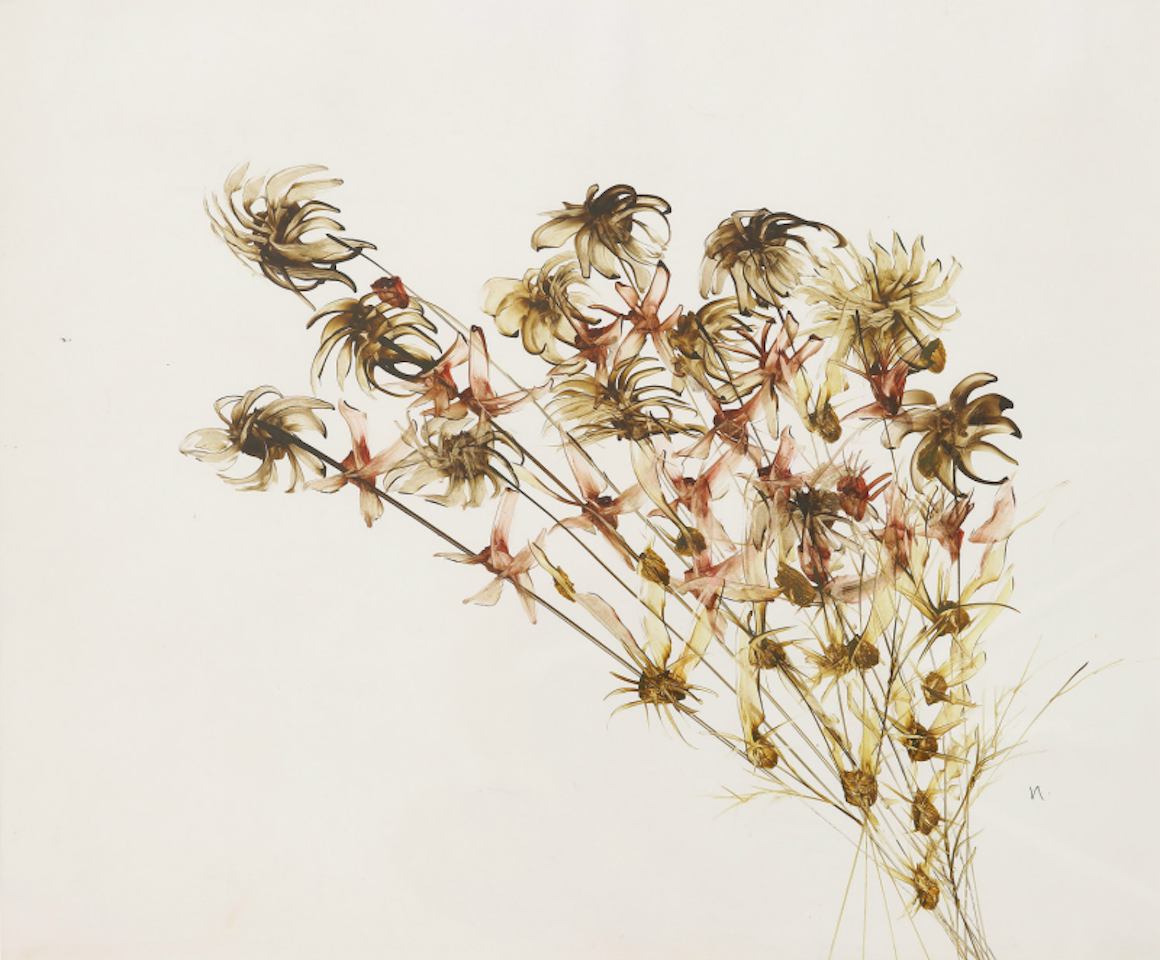 Bunch of Wildflowers by Sidney Nolan